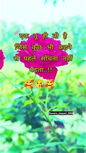 एक तू ही तो है💖🫂 Tu Hai Mera Junoon Mere Dil Ka Sukun Song🎵 Flowers Shayari DBS👍#shorts