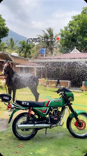 Omprakash on Instagram: "Dayana❣️Greenpearl @glee_farms #instagood #instadaily #instalike #pollachi #likesforlike #vintage #savenativebreeds #horse #kb100 #2stroke"