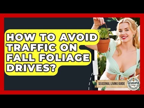 How To Avoid Traffic On Fall Foliage Drives? - Seasonal Living Guide