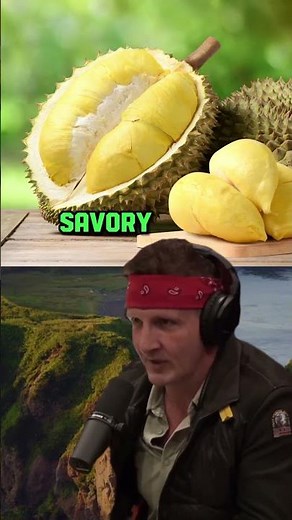 Exploring Extreme Tastes: Bile as a Culinary Delicacy? | Joe Rogan Experience with Sonny Side"