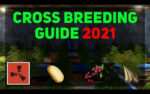 Rust | 杂交指南（2021更新） - Tamura77