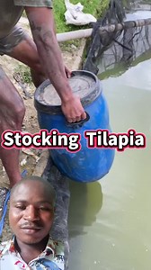 Stocking Tilapia in an Earthen Fish Pond: Step-by-Step Guide