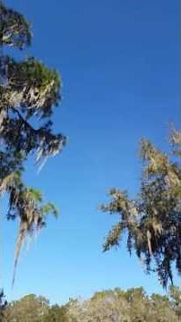 US Customs, Huey helicopter. Cool blade sounds.