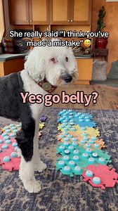 Bunny is the absolute queen of side-eye 👑 | Whataboutbunny