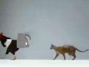 16K views · 315 reactions | Can you believe it's been 35 years since this ad premiered on Aussie TVs? For #ThrowbackThursday, we're bringing this iconic ad back for you all to see. How old were you when this aired? Let us know in the comments  | RSPCA WA | Facebook