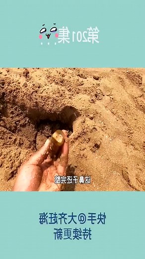 Discovering tiny treasures in the sand! 🏖️✨ Nature's little surprises. #BeachVibes #SandSecrets | Flyfishing173