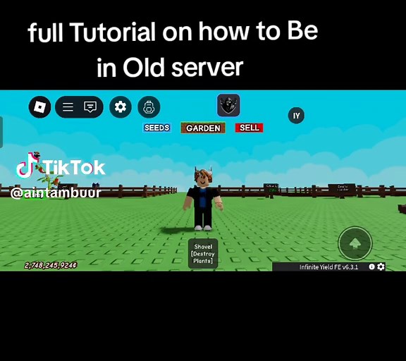 Cómo unirte a un servidor antiguo en Minecraft