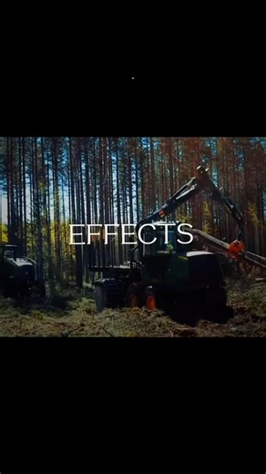 Stop Deforestation: How to Take Action Now