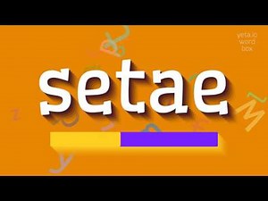 HOW TO SAY SETAE? #setae