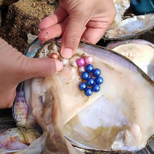 Pearl, the dry season in northern China, old freshwater shells are caught 💎🔷🔶🔴📿💥⚡✨🌟 | GEMS LOVER