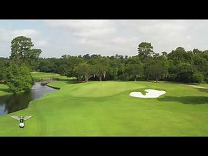 Cypress Creek: Hole 11