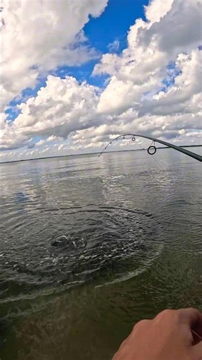 First redfish! #fish #fishing #viral #trending #shorts #subscribe #gopro
