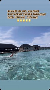 It’s a game changer!!!! How easy is it to learn the Ocean Walker Technique?? Answer: Everyone who learns it improves!!! 1-1 lesson, swim camp or online (click my bio) you can do it!!! Believe, Achieve, succeed 👊 #oceanwalkertechnique #swimming #swimtechnique #swimbetter #swimfaster | Adam 'Ocean' Walker