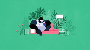 【MG动画】有趣的猩猩动画（Jungl）