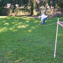 Video: Visualizing Efficacy of Pesticides Against Disease Vector Mosquitoes in the Field