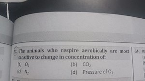 52. The animals who respire aerobically are most sensitive to c... | Filo