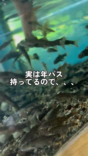 ドクターフィッシュ