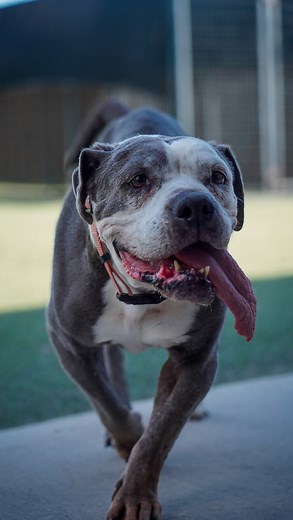 11K views · 67 reactions | Idiopathic head tremors is a condition...