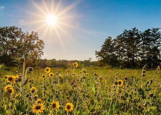 Sharon Woods - Metro Parks - Central Ohio Park System