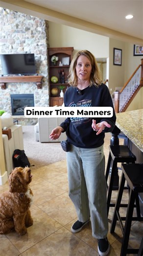 Effective Puppy Training for Mealtime Etiquette