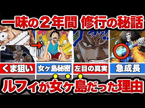 【ワンピース 】麦わらの一味の2年間！くまが計画した一味の成長を徹底解説