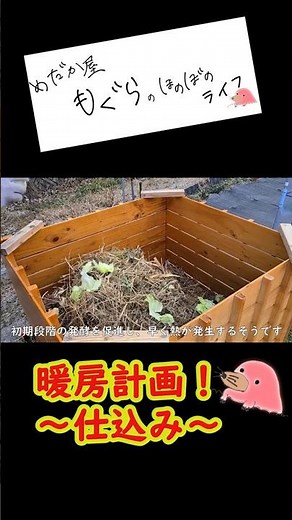 堆肥の発酵熱でメダカハウスを暖める【仕込み完了】