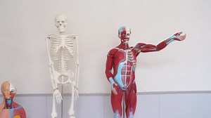 Medical Teaching Nursing Students Phlebotomy Practice Kit, Intravenous Injection Practice Starter Kit No Latex Venipentesis Kit