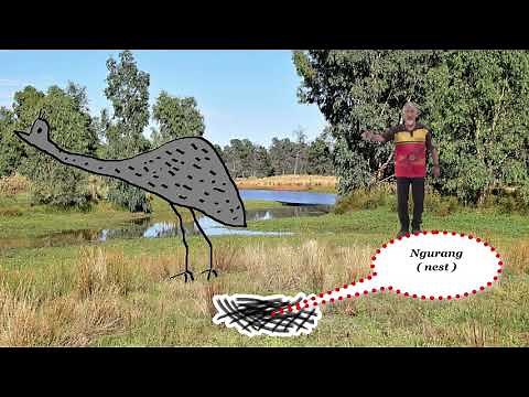 Aboriginal Wiradjuri Emu Story (Dinawan Giilang)