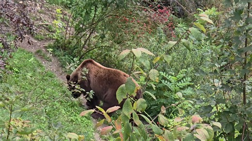 #bern #berna #switzerland #suiza