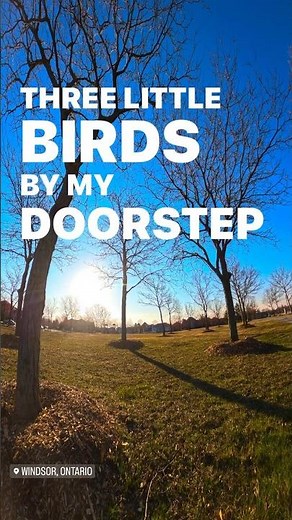 three little birds - Kacey Musgraves
