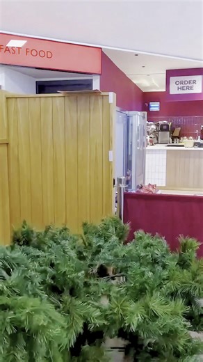 This Christmas tree at Sedgemoor Services (Roadchef) is decorated with items that were once litter, because every piece of rubbish left behind can harm wildlife. Animals can get trapped, injured or even die because of litter, according to the RSPCA (England & Wales). Roadside waste isn’t just unsightly, it’s dangerous. Let’s make a promise this festive season: ✅ Bin your litter ✅ Protect our wildlife ✅ Keep our roads and countryside safe Together we can make a difference. 🔗 https://www.youtube.