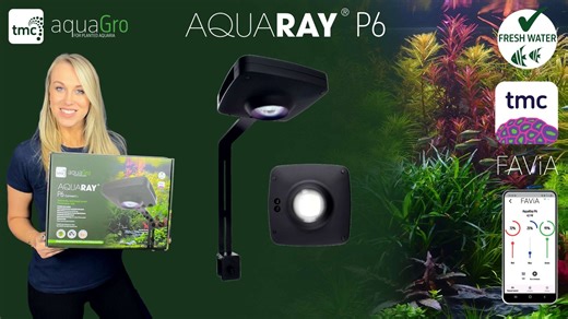 1.8K views | In this video, we’re unboxing the brand new AquaRay P6 –...