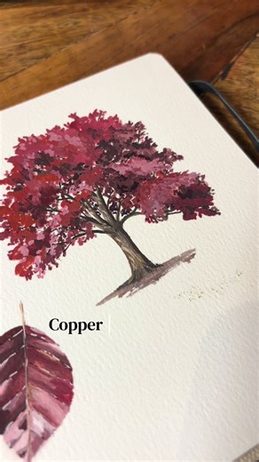 Copper Beech Painting Tutorial for Art Enthusiasts