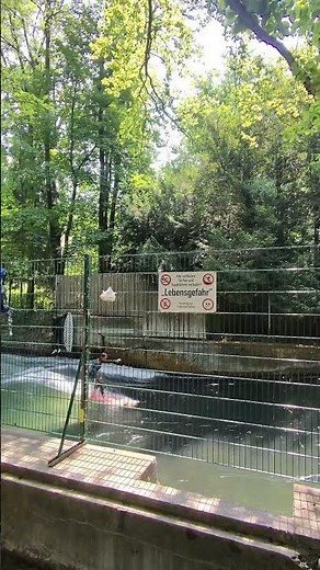 You can surf in the middle of Munich 🏄 (Eisbachwelle)