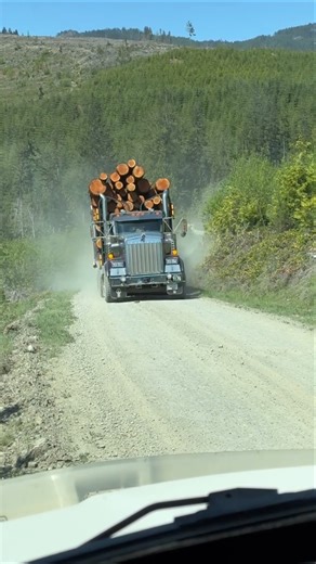 #bcforestry #logging #bc #forestry #foryoupage
