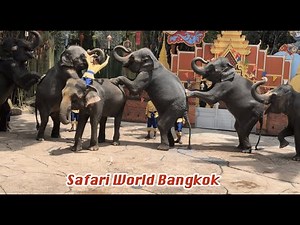 Bangkok Safari World Elephant Show | Amazing Elephant Tricks & Performances