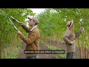 Fruit Trees Grow In Zone 6B