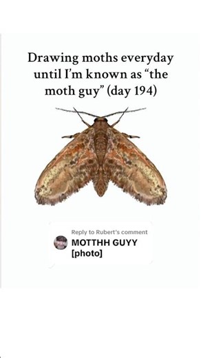 Moths everyday all year round ❤️ #fyp #digitalart #drawing #moths