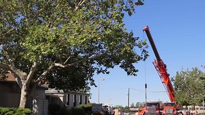 38 reactions · 8 comments | This 50,000 lb. biosafety level 3...