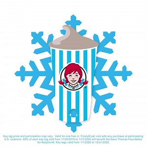3.8K reactions · 1.6K shares | Doing good can taste just as sweet with a Frosty Key Tag. For $2, get a year’s worth of Jr. Frosty treats with any purchase while also supporting the Dave Thomas Foundation for Adoption | Wendy's | Facebook