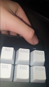 apex pro tkl 2023 sound test