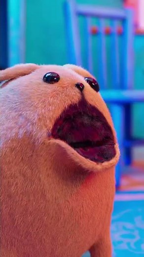 Pets home alone #pets