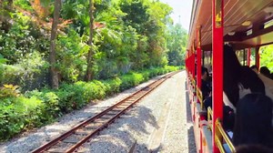 Naik Kereta Hutan Terindah di Dunia, Menyusuri Keajaiban Alam Tiongkok