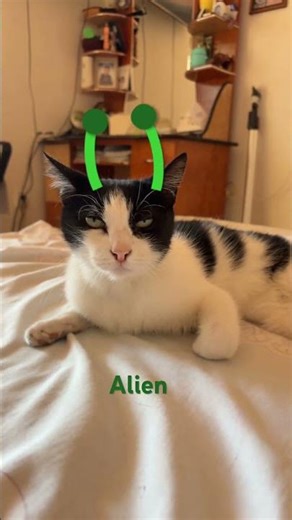 Alien part 2!
