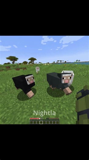 Best Minecraft Mods ☠️ Part 234