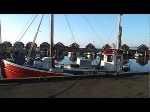 Hundestedmotor fra 1954 - ved Bedding.dk - Rødvig Skibs- og Bådebyggeri.mp4