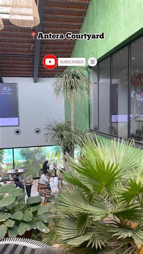 AnTeRa courtyard! “worth every bite”#shortsfeed #shortsviral #shortvideo