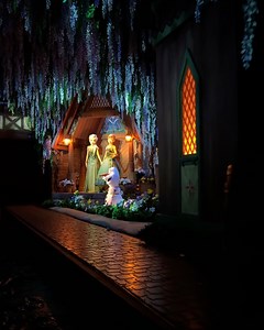 3.4K views | The DIS on Reels | Facebook