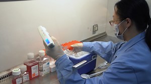 A Human Peripheral Blood Mononuclear Cell PBMC Engrafted Humanized Xenograft Model for Translational Immuno-oncology I-O Research