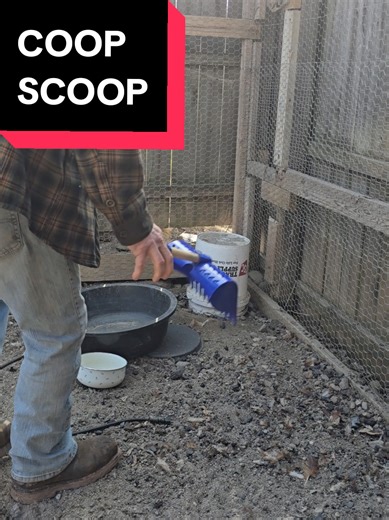 Revolutionize Your Chicken Coop Cleaning with Viral Coop Scoop